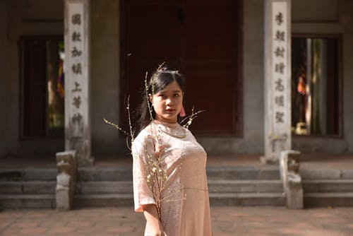 Бесплатное стоковое фото с ао дай, ветвь, вьетнамская одежда
