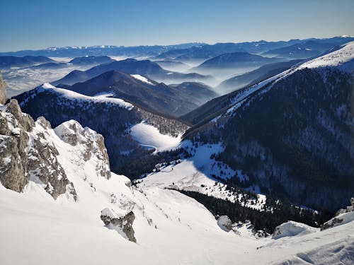 Immagine gratuita di catena montuosa, foresta, freddo