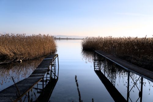 Free A serene view of Lake Peitz at sunrise with wooden piers and reflection. Stock Photo