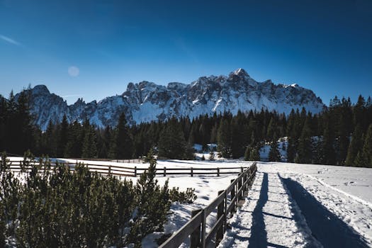 A scenic winter landscape featuring snowcapped mountains, pine trees, and a wooden fence under a clear blue sky.