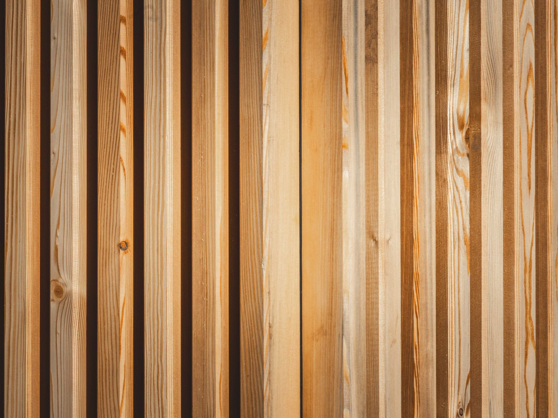 Fence and Decking Painting in Queensbury — walls rolled to an even, flat finish
