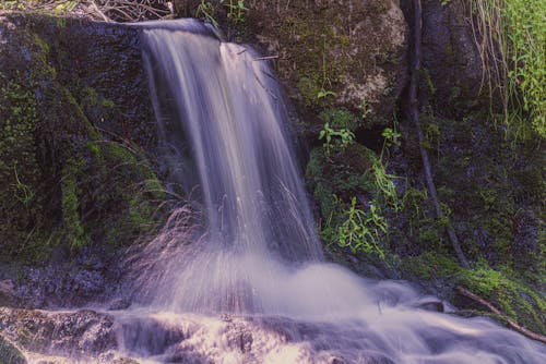 Immagine gratuita di acqua, cascata, esotico