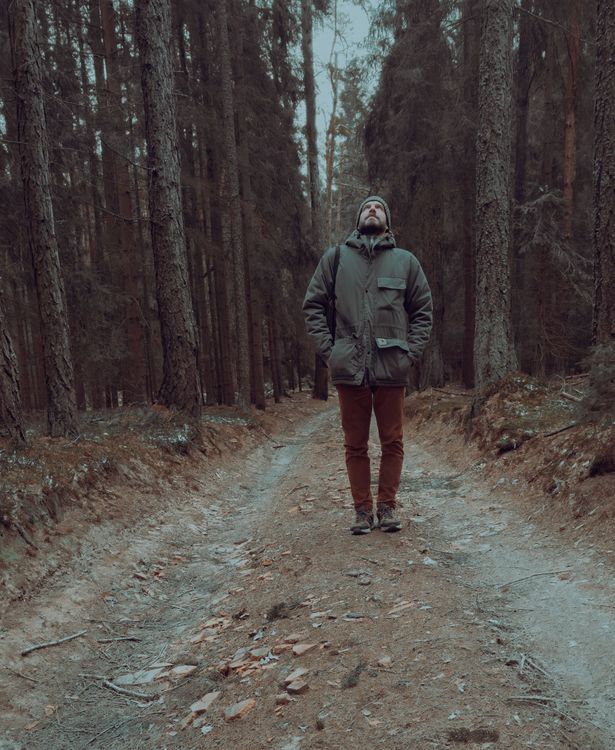 Man on a Path in a Forest · Free Stock Photo