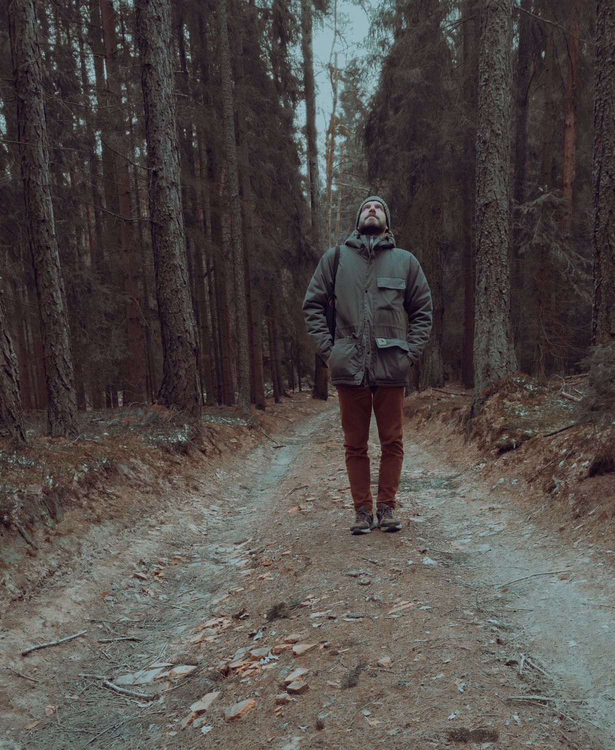 Man on a Path in a Forest · Free Stock Photo
