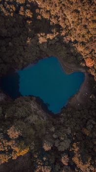 从空中俯瞰，宁静的湖泊被充满活力的秋季森林环绕，景色令人惊叹