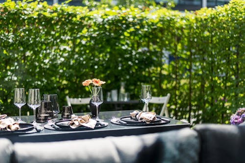 Table Set in a Garden