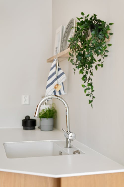 Potted Plant above a Sink