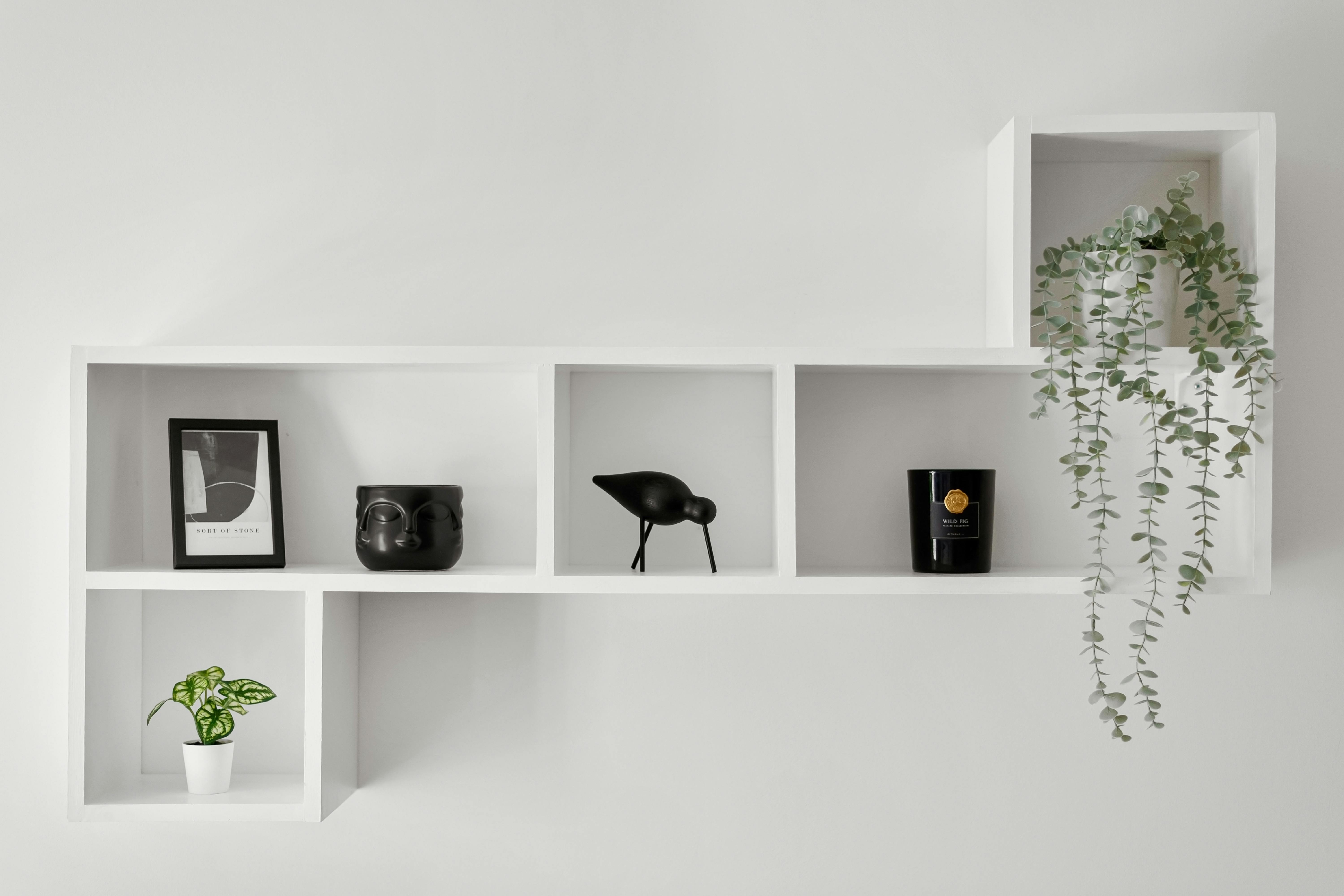 Stylish white wall shelves featuring modern decor and vibrant plants.