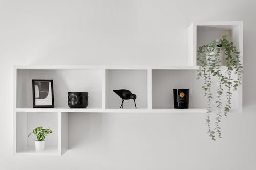 A white wall with shelves and plants on it
