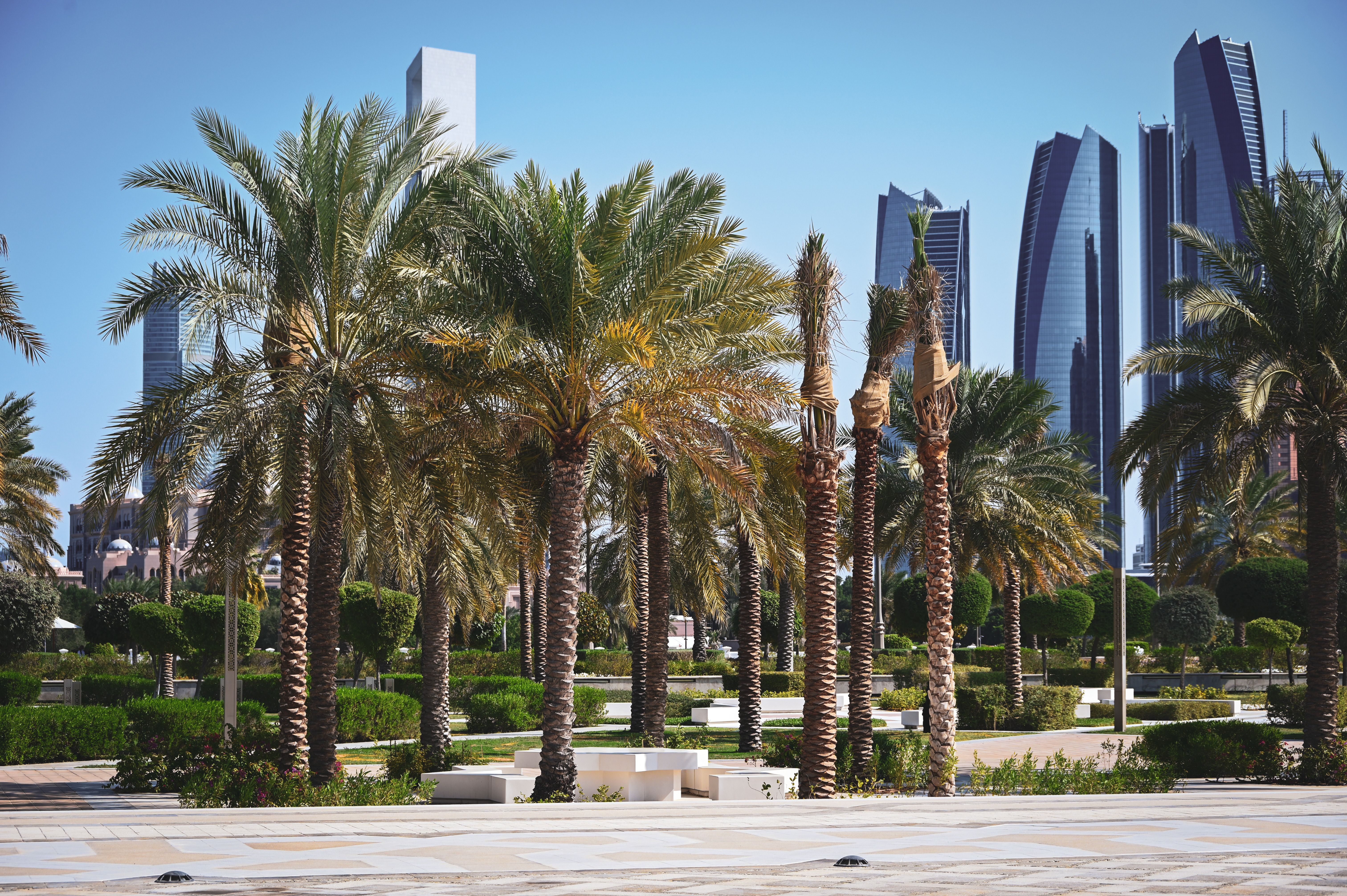 Environment Agency Abu Dhabi and IUCN Sign Framework Pact for Global Conservation