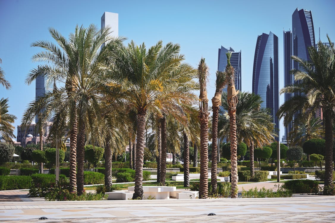 Sunlit Park in Abu Dhabi