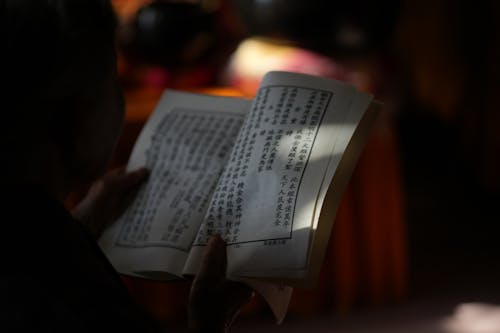 Hands Holding Book and Reading