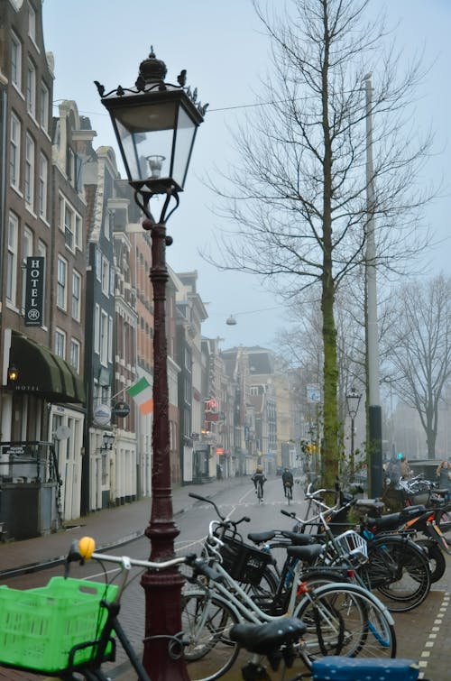 Immagine gratuita di alberi, amsterdam, biciclette