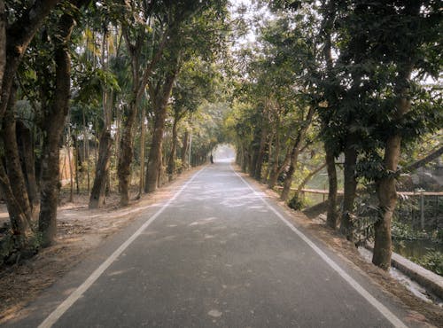 Foto d'estoc gratuïta de 71bangladesh, a l'aire lliure, a terra