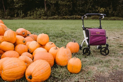 Rollator with Shopping Bag by Pile of Pumpkins