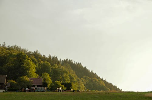 A Rural Landscape