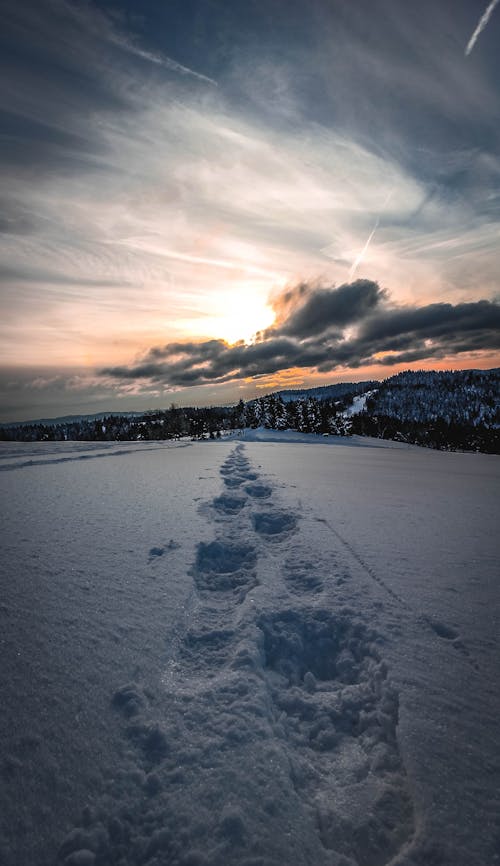 Fotobanka s bezplatnými fotkami na tému advanture