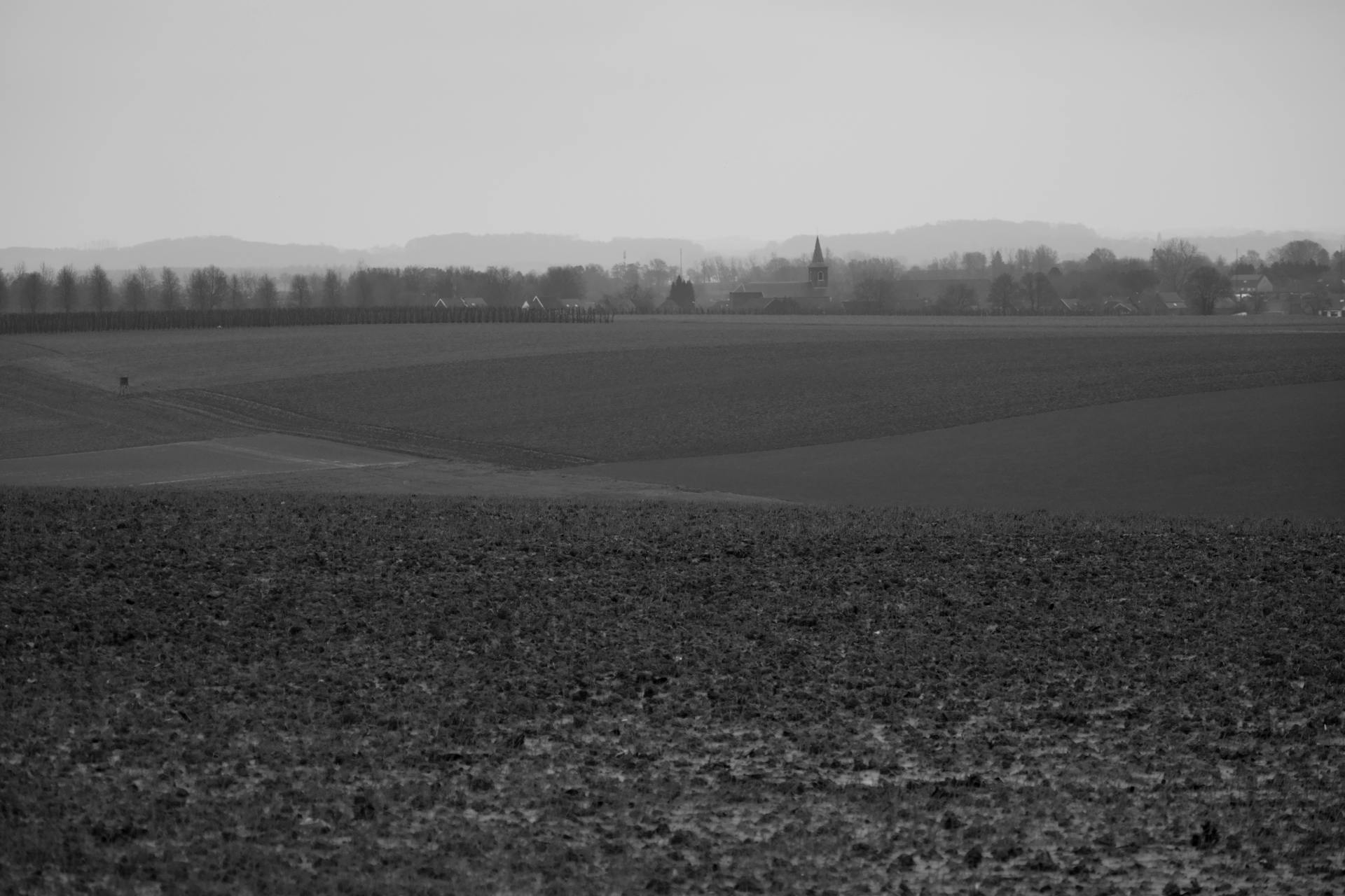 Serene monochrome view of a rural landscape featuring distant village and fields.