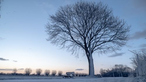 Free A picturesque winter scene featuring a snow-covered tree and bench in Emmeloord, Netherlands. Stock Photo