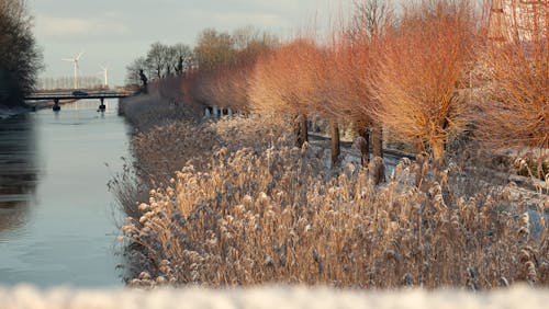 Cold winter morning