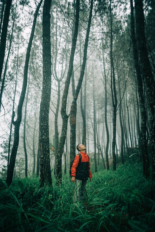 Free Man in Woods Stock Photo