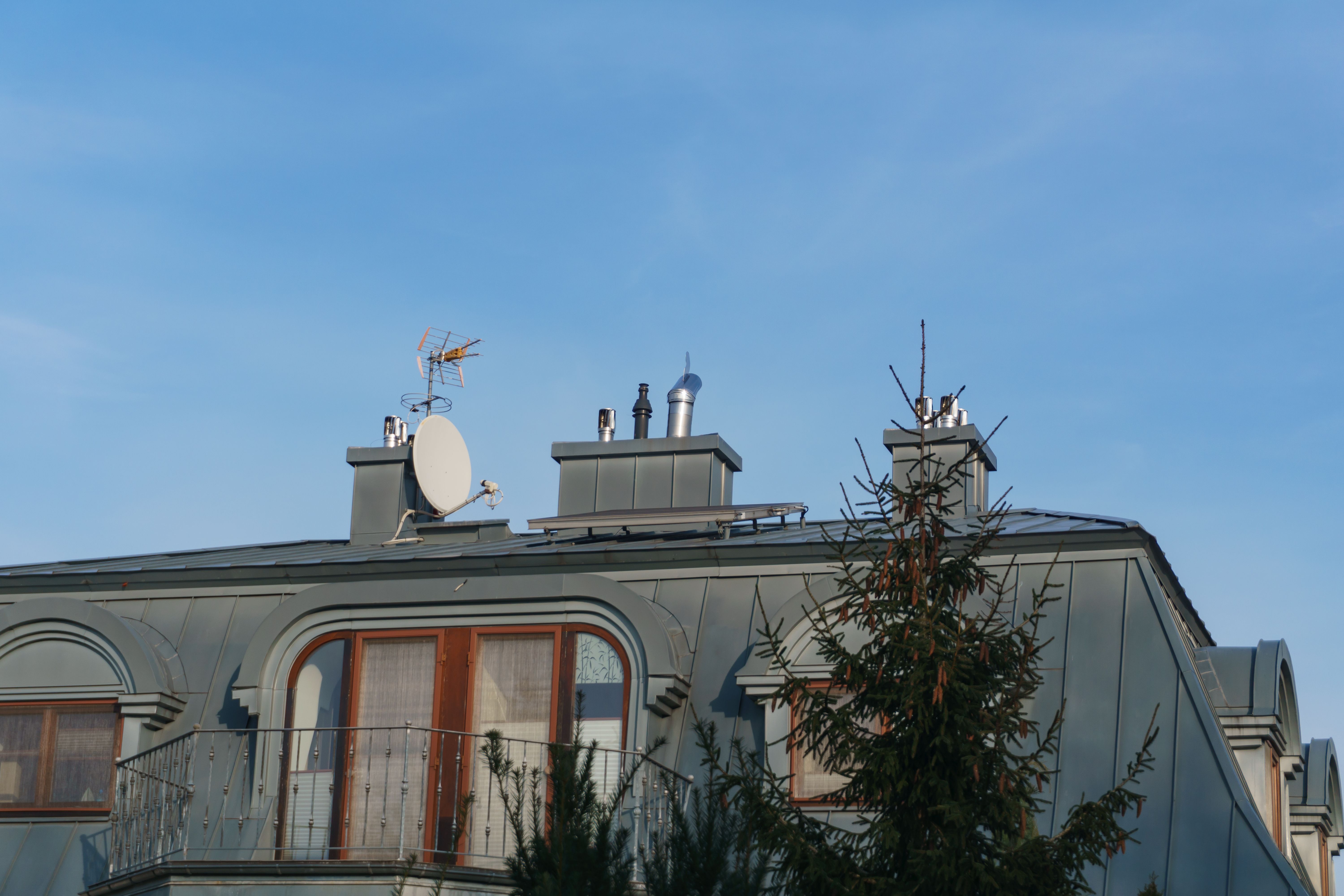 Photos gratuites de @extérieur, à feuilles persistantes, antenne