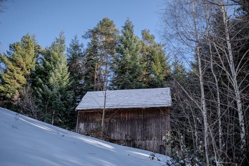 A small wooden barn sits in the snow