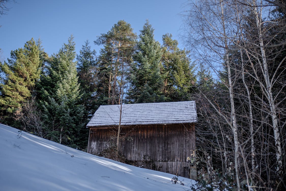 A small wooden barn sits in the snow