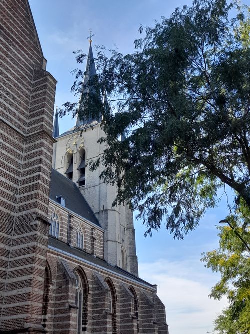 Free stock photo of architecture, building, church Stock Photo