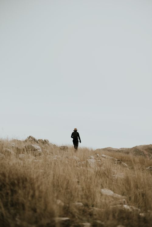 Free Person walking alone in vast grass field under cloudy sky, evoking freedom and solitude. Stock Photo