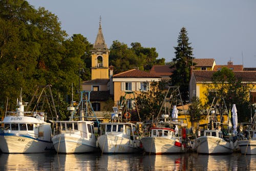 Sailboats in a Port in Croatia 