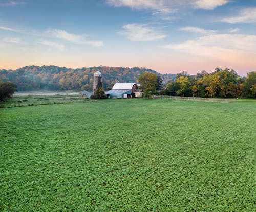 Foto d'estoc gratuïta de agricultura, camp, capvespre