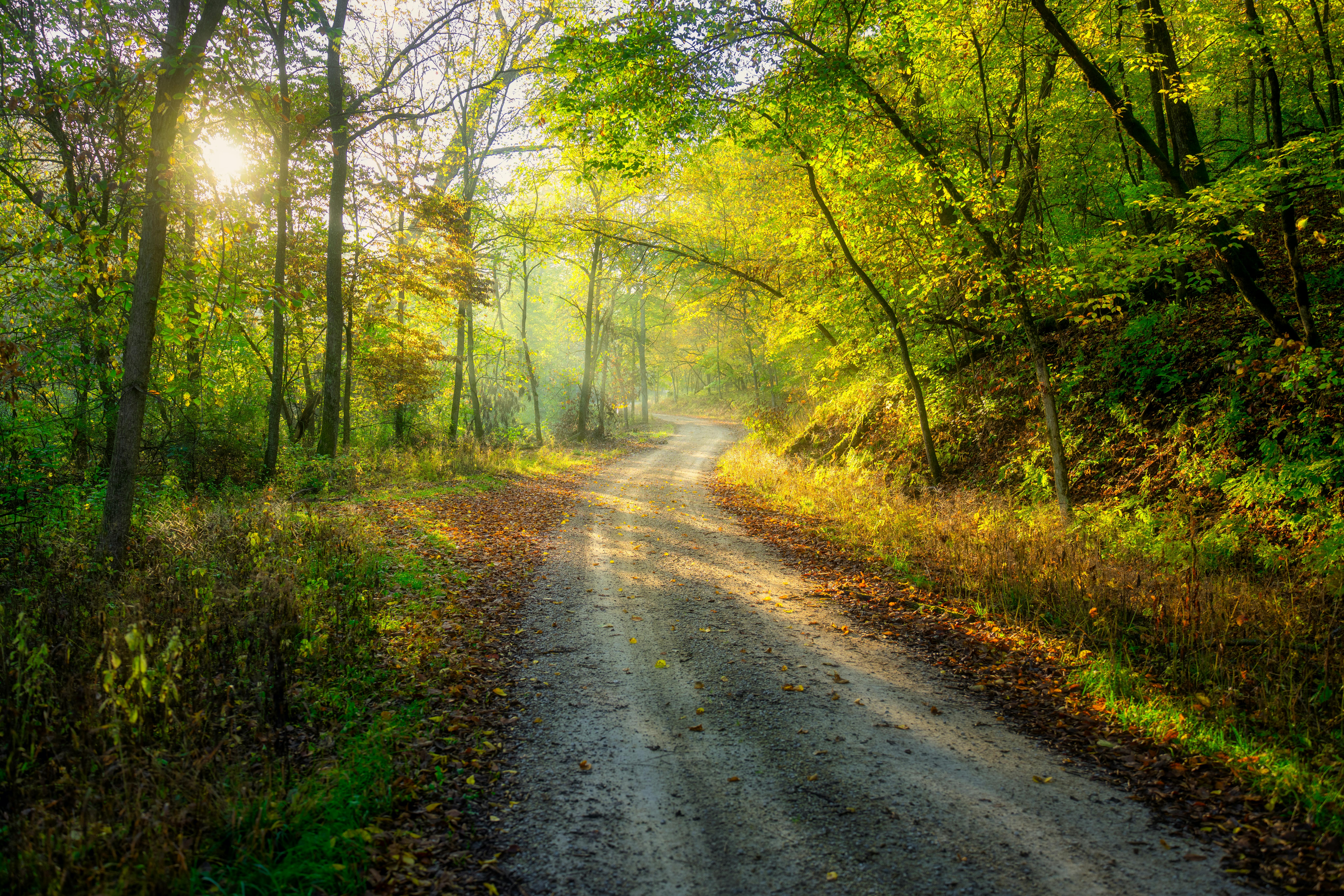 DuPage Forest Preserve executive director leaving for city manager job in Florida — Photo by Tom Fisk on Pexels