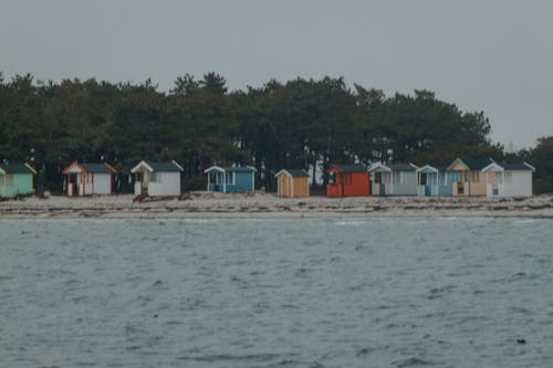 Kostenloses Stock Foto zu sommerhäuser, strand, vögel