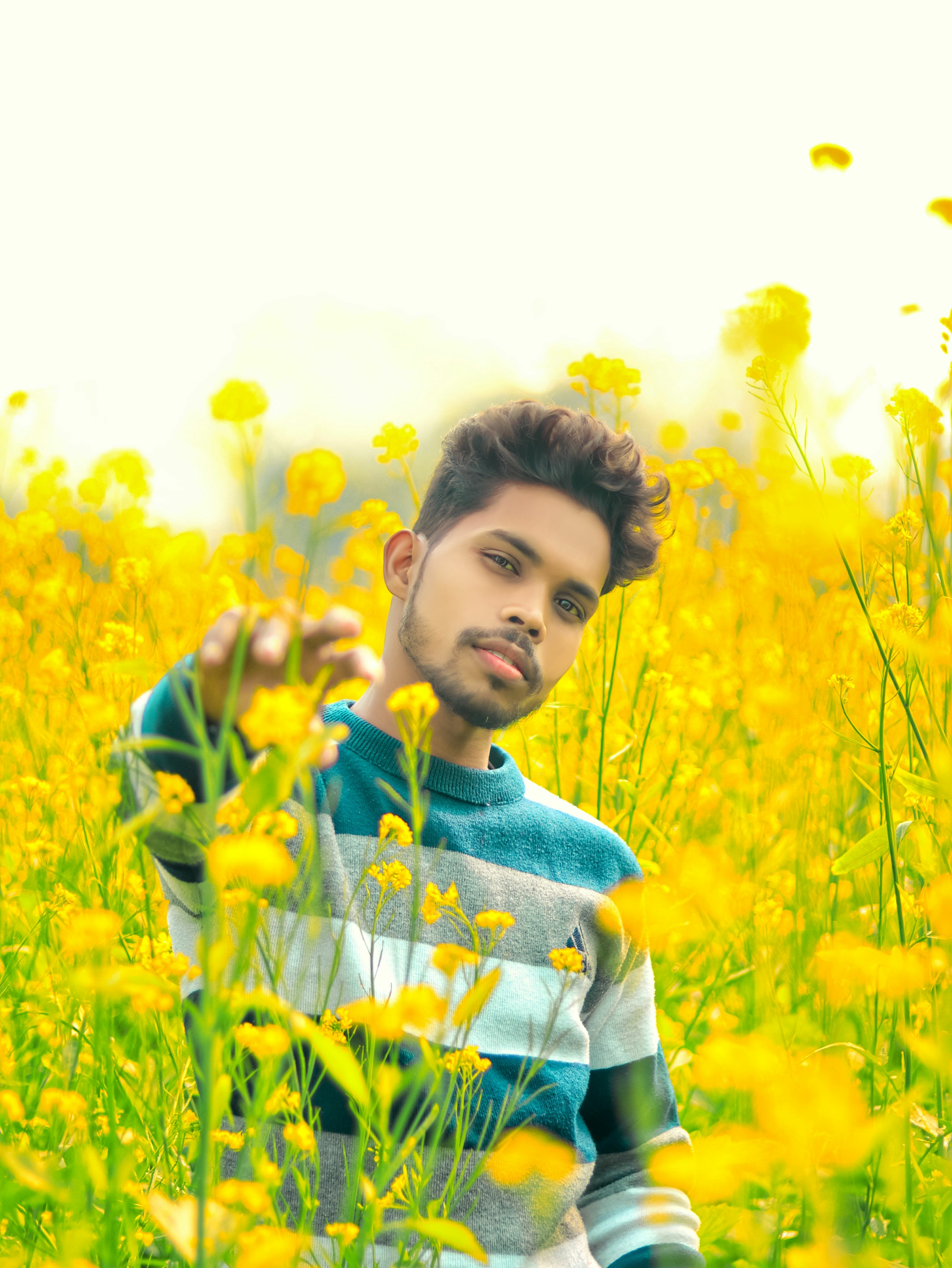 Young Man Standing between Yellow Flowers on a Field · Free Stock Photo