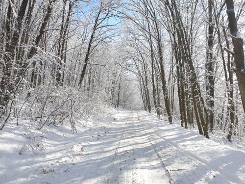Free A serene winter landscape featuring a snow-covered path through a frosty forest. Stock Photo