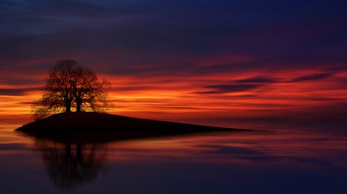 Silhouette Des Berges