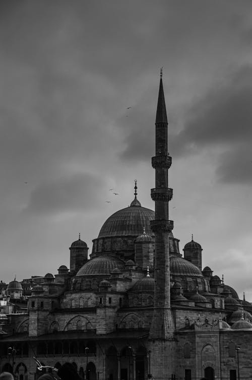 Základová fotografie zdarma na téma černobílý, islám, Istanbul