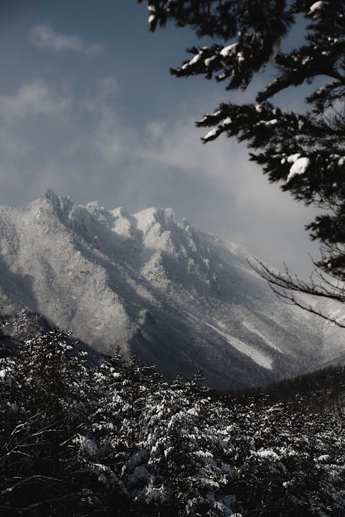 Foto profissional grátis de cênico, com frio, congelado