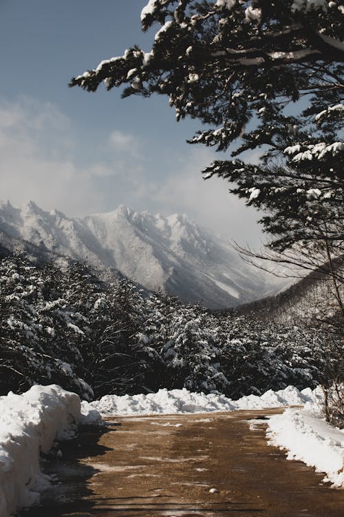 Picturesque Winter Mountain Landscape