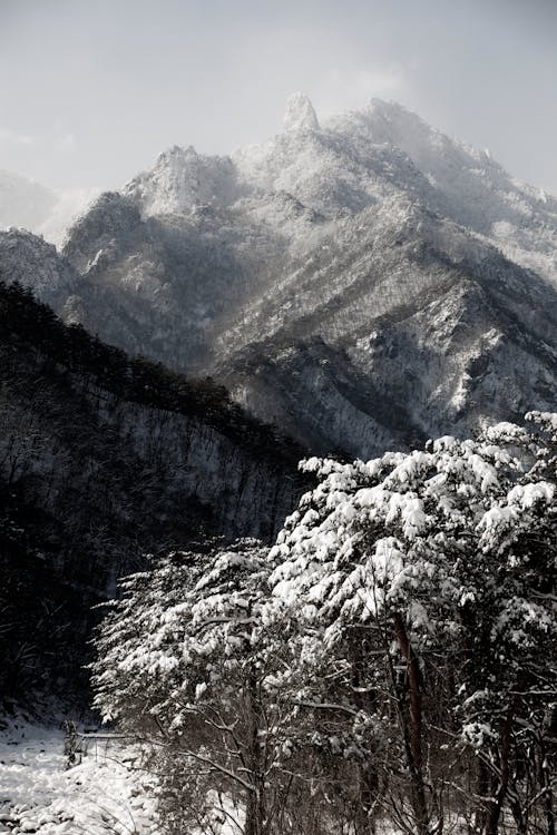 Snowy Mountain Landscape