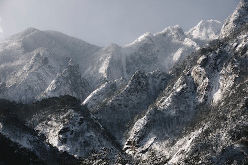 Darmowe zdjęcie z galerii z alpejski, drzewa, góry