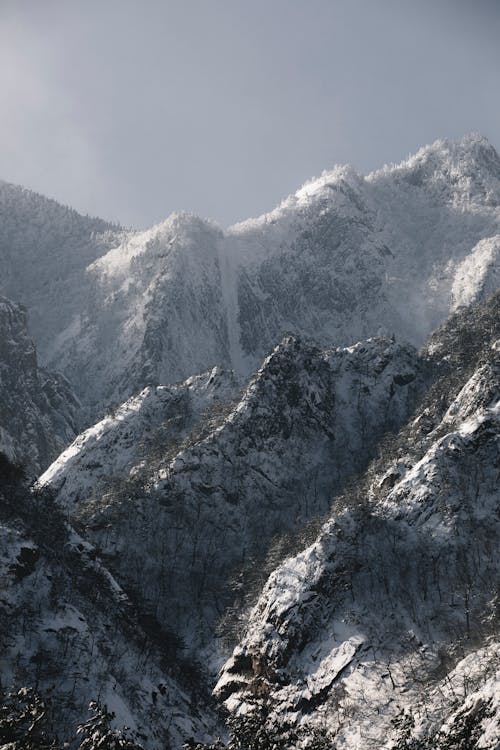 Gratis lagerfoto af bjerge, bjergkæde, forkølelse