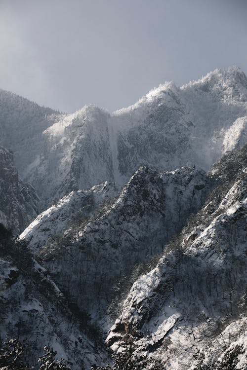 Scenic View of Mountains Covered with Frosty Trees