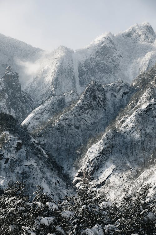 Бесплатное стоковое фото с белый, вертикальный выстрел, горы