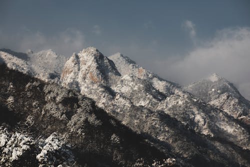 ağaçlar, buz tutmuş, dağ silsilesi içeren Ücretsiz stok fotoğraf