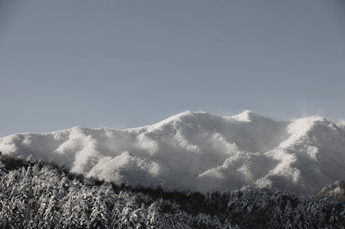 A snowy mountain range with trees and snow
