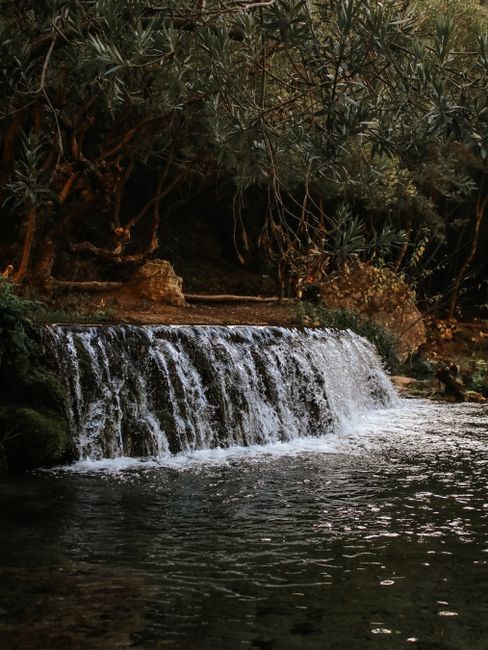 Serene waterfall in dense forest, ideal for nature and travel themes.