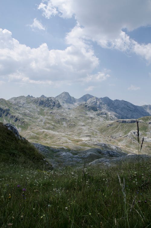 Бесплатное стоковое фото с вертикальный выстрел, горы, луг