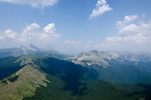 Základová fotografie zdarma na téma hory, krajina, les